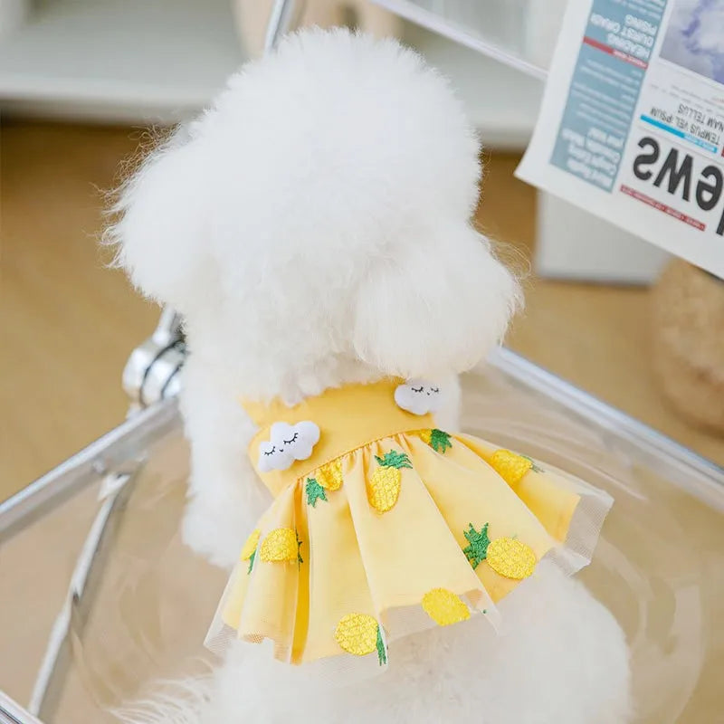 Summer Dog Dress for Small Dogs Luxury Dog Clothes Chihuahua French Bulldog Bichon Dog Costume Pet Clothing Dog Vest Puppy Skirt