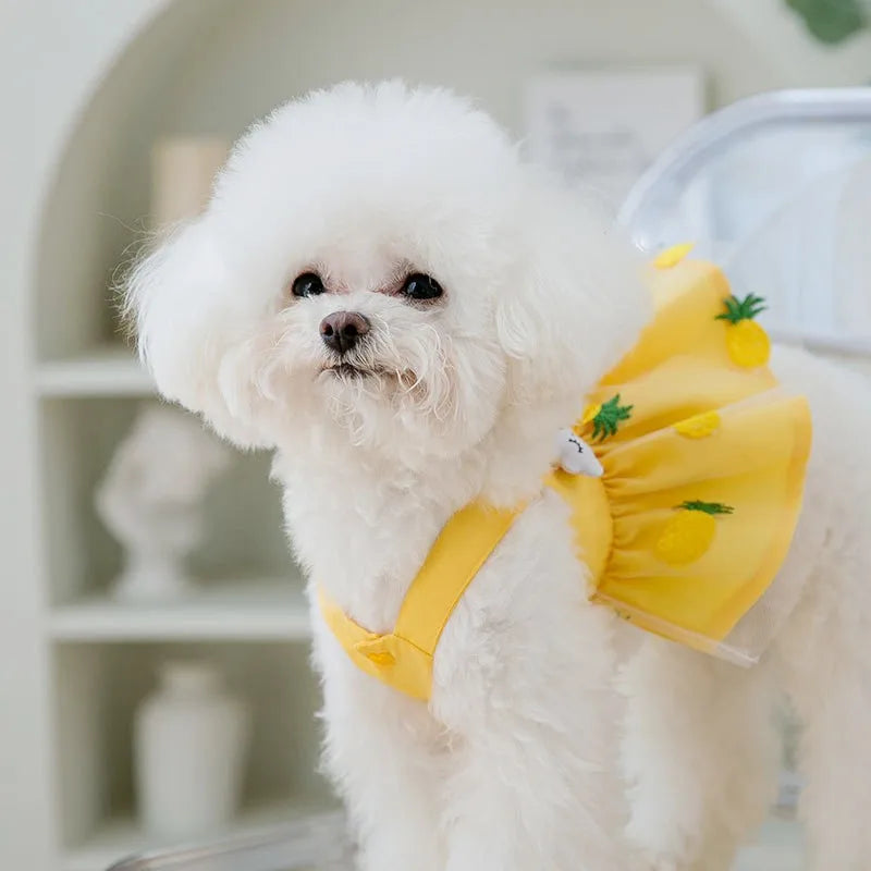Summer Dog Dress for Small Dogs Luxury Dog Clothes Chihuahua French Bulldog Bichon Dog Costume Pet Clothing Dog Vest Puppy Skirt